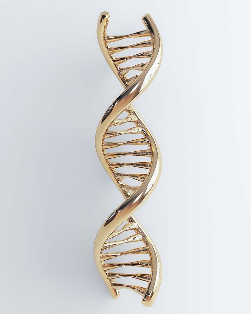 Polynucleotides