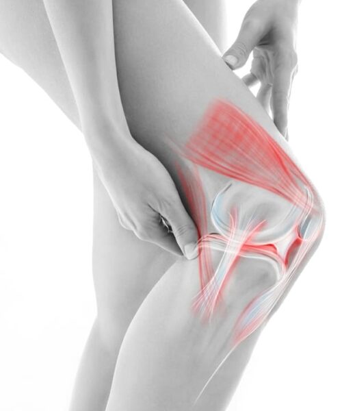 Knee cartilage repair: the most effective solutions